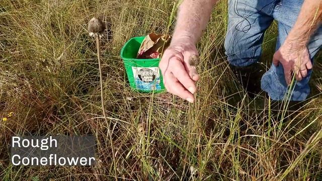 Harvesting Seed at Lawther-Deer Park Prairie смотреть онлайн