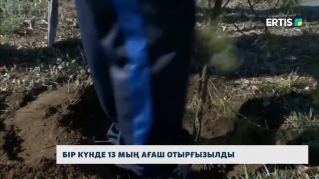 БІР КҮНДЕ 13 МЫҢ АҒАШ ОТЫРҒЫЗЫЛДЫ смотреть онлайн