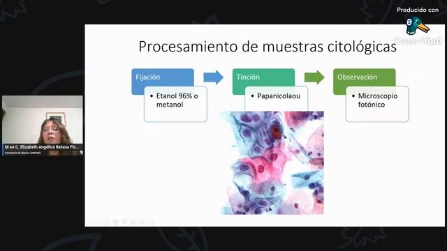 La histopatología en el diagnóstico médico y la investigación смотреть онлайн