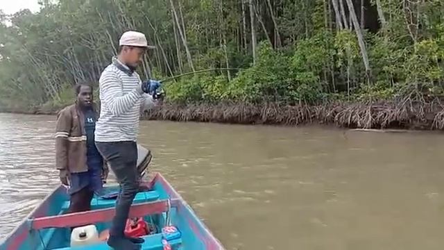 Casting Kakap Putih (Barramundi) Monster 10kg UP,Spot terlena Timika Papua... смотреть онлайн