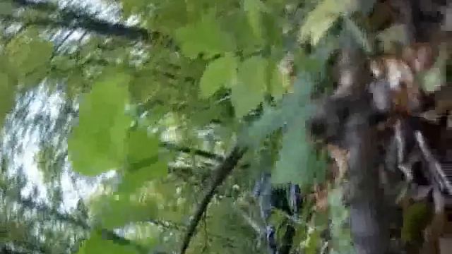 osetia dh смотреть онлайн