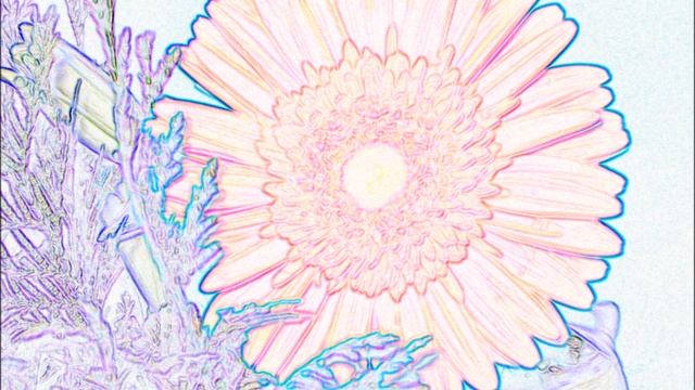 Orange Flower смотреть онлайн