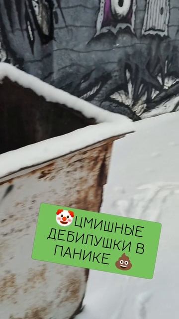 цмишные дебилушки решили проблему с патриотизмом урн радикальным путём 🤣🤣🤣 смотреть онлайн