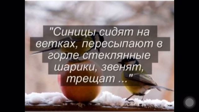 Турганбаева Н.У. смотреть онлайн