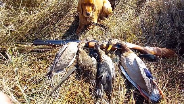 Четырёх взял 👍 смотреть онлайн