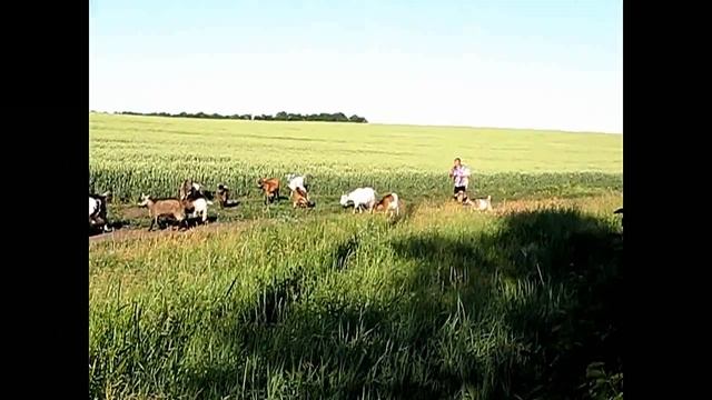 Деревня смотреть онлайн