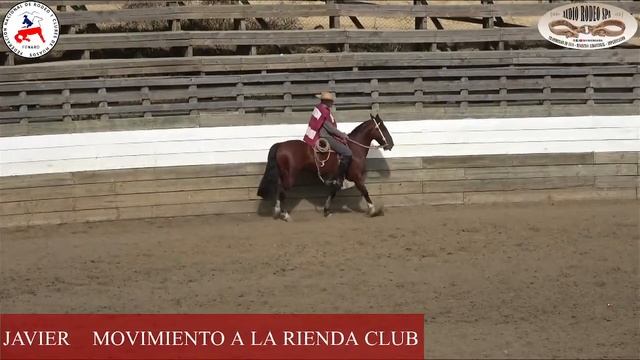 MOVIMIENTO A LA RIENDA CLUB CONSTITUCIÓN ASOCIACIÓN SAN JAVIER смотреть онлайн