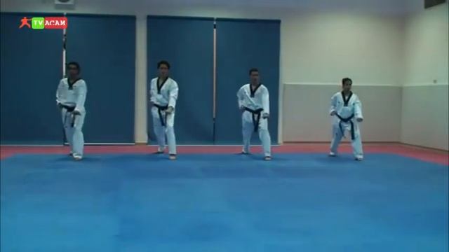 Taekwondo - Les mouvements de base. смотреть онлайн