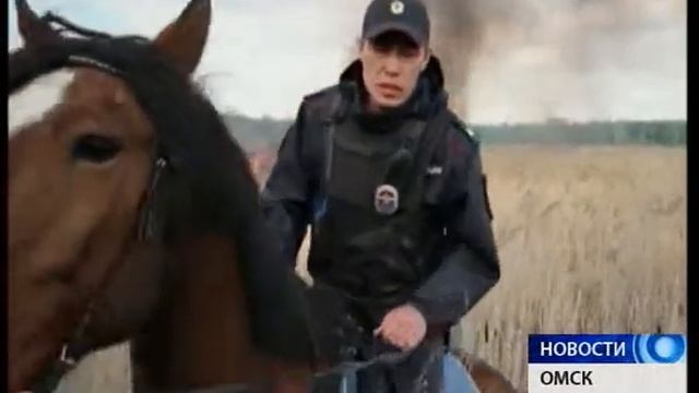 На 240 тысяч рублей оштрафовали омичей за разжигание костров во время пожароопасного режима смотреть онлайн