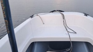 Кайман 300 и меркури 9.8