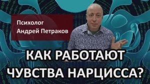 Как работают чувства нарцисса?