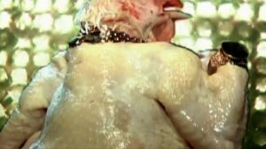 Leningrad - Gelendzhik ( Ленинград - Геленджик) English SubTitles