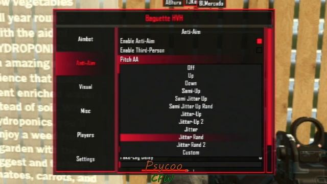 [BO2/Non-Host Menu] BAGUETTE HvH