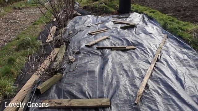 February in the Allotment Garden смотреть онлайн