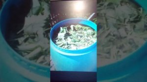 Настой травы для подкормки растений