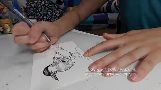 Inking Process (Arctic Tern) смотреть онлайн