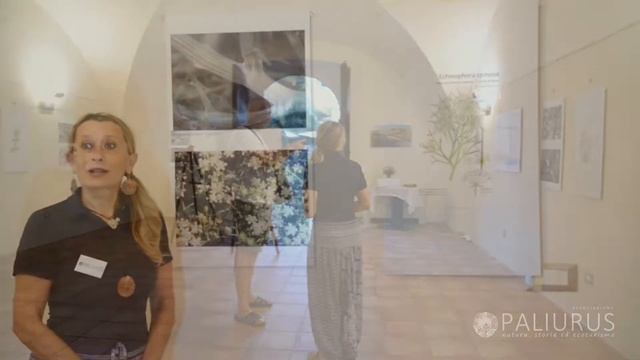 La bellezza che ci salva - Le piante della spiaggia tra Villa Fumosa e Scerne di Pineto - 3 смотреть онлайн