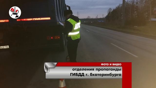 Мазовод задавил собаковода на встречной обочине смотреть онлайн