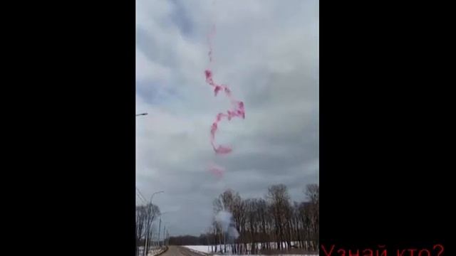 Гендер пати .Угадай кто? Дневные фейерверки. смотреть онлайн