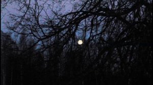 Иеромонах Роман.Колыбельная («Осенний месяц, тих и ласков...»)