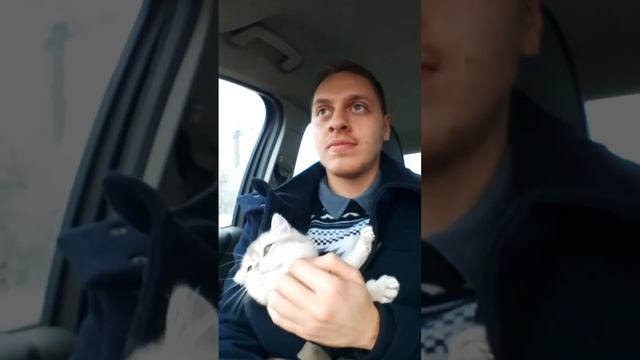 Иванка отправилась в новый дом смотреть онлайн