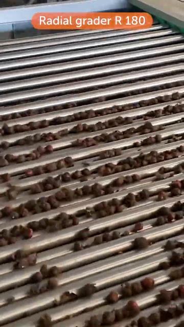 Allround весовая станция#shorts #весоваястанция#морковь #картофель#лук#цикорий#чеснок#луковицыцвето смотреть онлайн