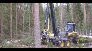 1. Заготовка леса  спецтехникой СК ДревСевер