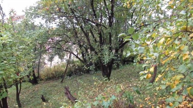 Не раз в ночи вы вспомните меня... смотреть онлайн