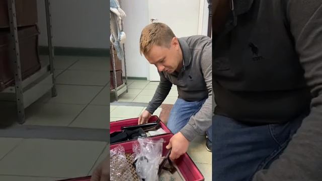 Чемоданы с сокровищами на полках смотреть онлайн