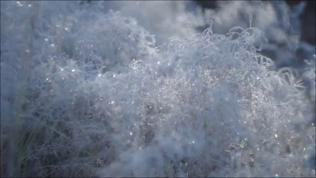 Иеромонах Роман. «Настроясь на высокую волну...» смотреть онлайн