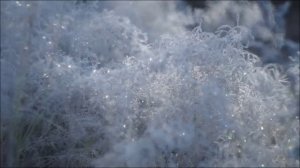 Иеромонах Роман. «Настроясь на высокую волну...»