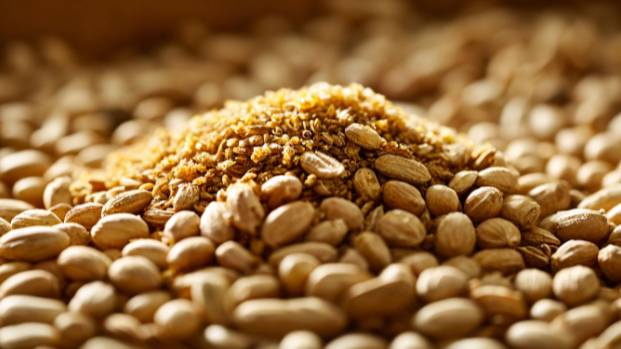 Цена на фуражную пшеницу 8000. Кормовые культуры животноводства #18 Kazan Agro Казан Агро 2025 смотреть онлайн