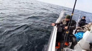 Настоящая морская рыбалка в Баренцевом море. Ловля трески. Отдых и развлечения в Мурманске.
