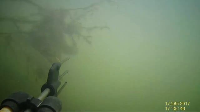 Подводная охота 2 смотреть онлайн