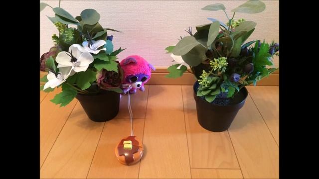 Our ty Beanie Boos "Naughty Rocco & Roxie vs Zippy смотреть онлайн