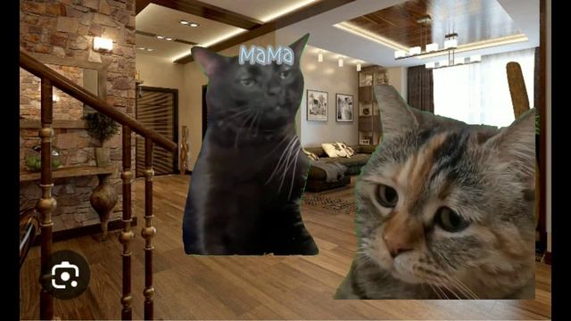 ПОВ:мой выходной... следующее видео;ПОВ:мой д.р. (｡ ❛ ᴗ ❛｡)っ смотреть онлайн