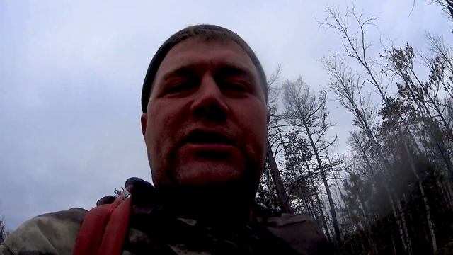 ОСЕННЯЯ ПРОГУЛКА ЗА КЛЮКВОЙ смотреть онлайн
