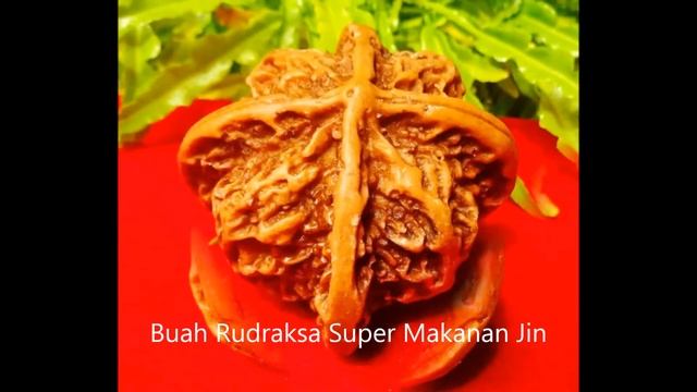 Buah Rudraksa Super Makanan Jin смотреть онлайн