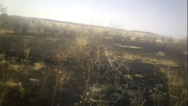 Последствие пожара смотреть онлайн