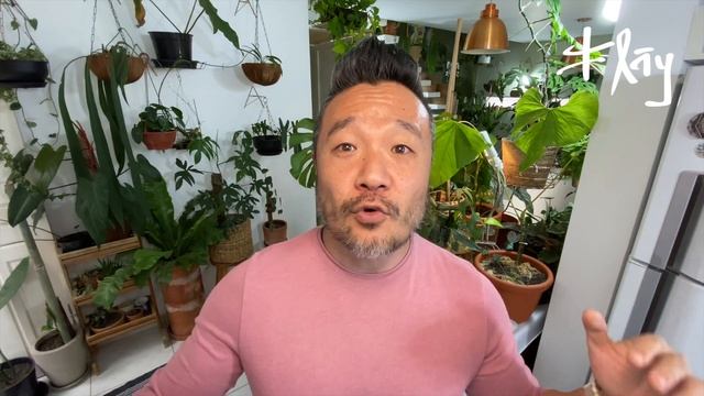 Atualizações da Minha Selva Urbana | Crescimento, Enraizamento, Viveiro e Terrário-Aquário | Fla смотреть онлайн