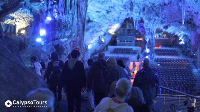 Welcome to Calypso Tours | MH Bland Group of Companies смотреть онлайн