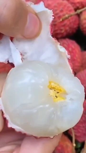 Lichi #shorts 😎😱 смотреть онлайн