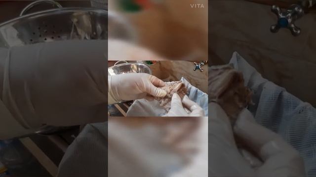 PROCESO DE LA ELABORACIÓN DE HARINA DE PESCADO FORMA CASERA 🐟🐟 FACULTAD ING.PESQUERA смотреть онлайн