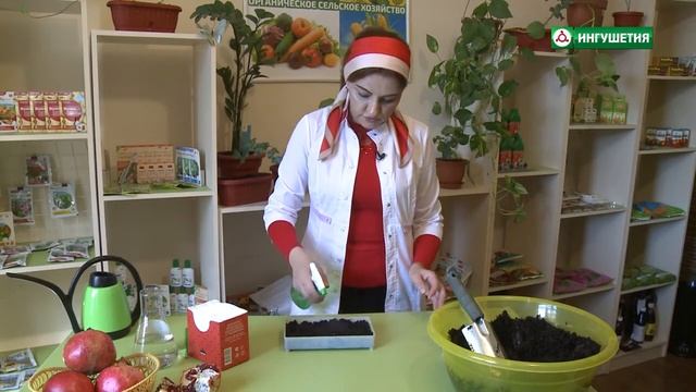 Радужные садовые истории