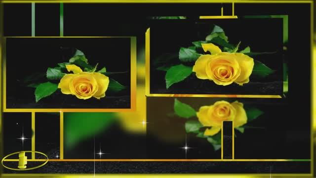 ❤️️🌹❤️️ КАКАЯ ТРОГАТЕЛЬНАЯ, ДУШЕВНАЯ ПЕСНЯ ! ЖЁЛТАЯ РОЗА ! ВЯЧЕСЛАВ ЯВТЫХ ! смотреть онлайн