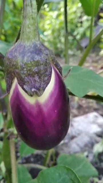 9 July 2022 смотреть онлайн