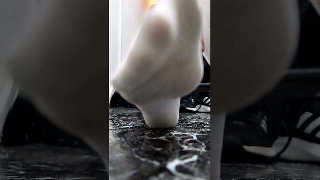 Smelly Stinky Gym Socks