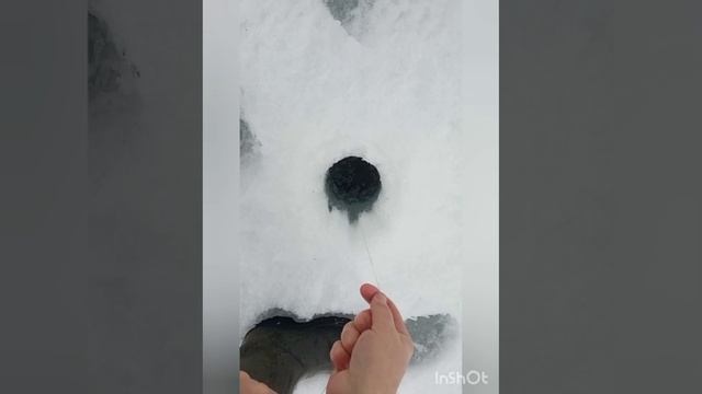 Щука 7800.
