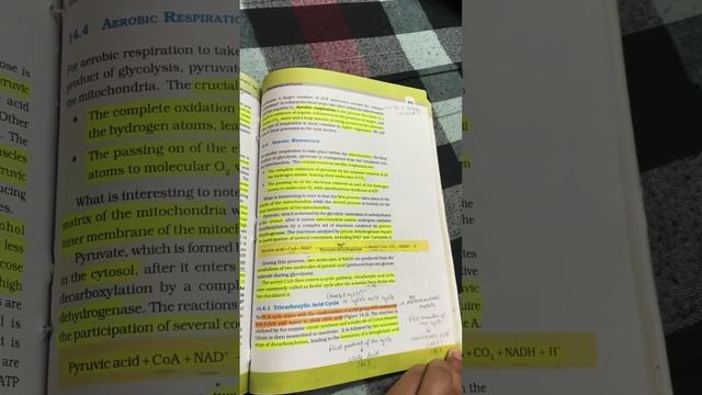 NCERT Highlights on Respiration in Plants: Everything You Need to Know, PYQs & Important Lines смотреть онлайн