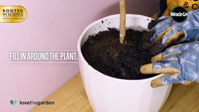 Miracle-Gro Premium Mediterranean & Citrus Special Plants Compost смотреть онлайн